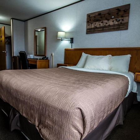 Companion Hotel Motel هيرست المظهر الخارجي الصورة